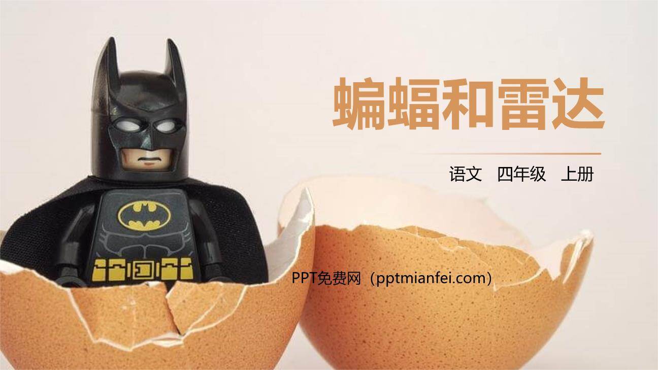 蝙蝠与雷达PPT课件40