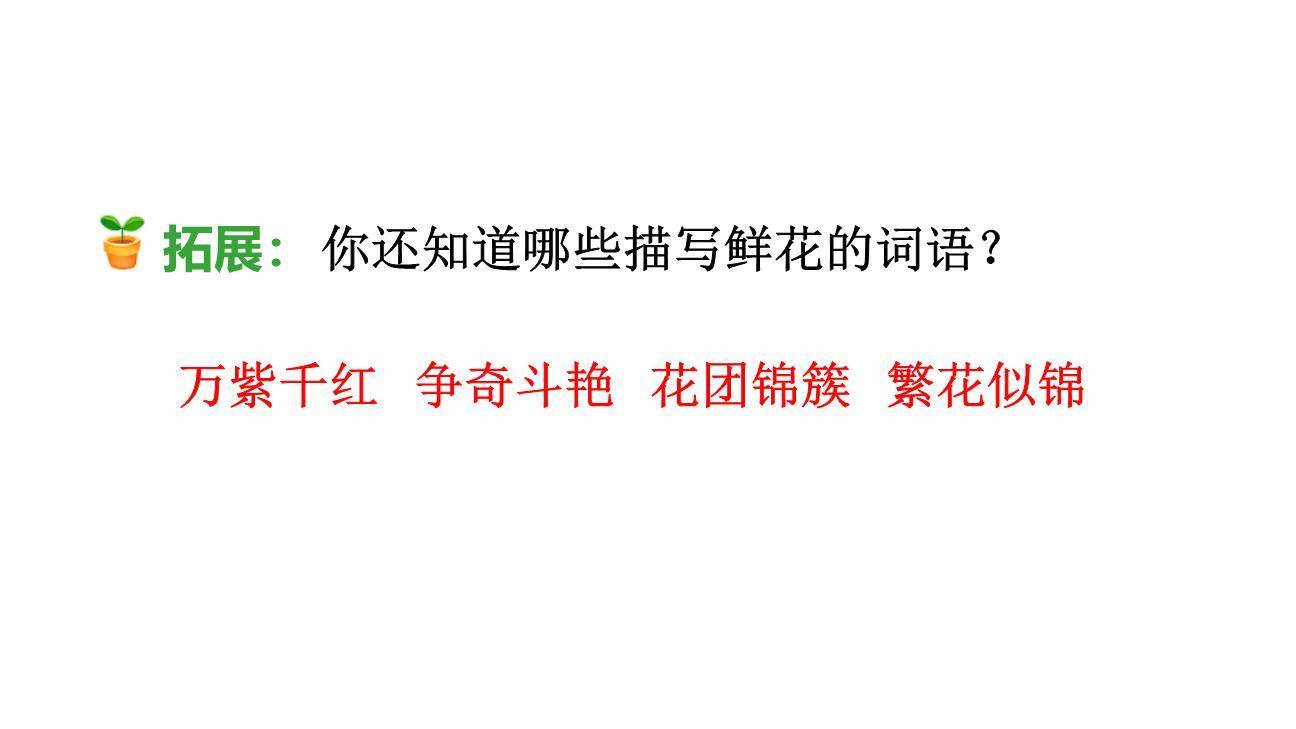 开满鲜花的小路PPT课件71