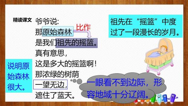 祖先的摇篮PPT课件51