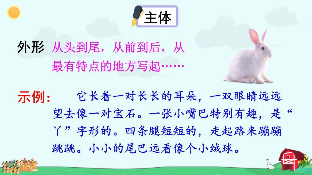 我的动物朋友PPT课件52