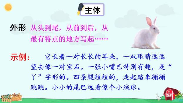 我的动物朋友PPT课件52