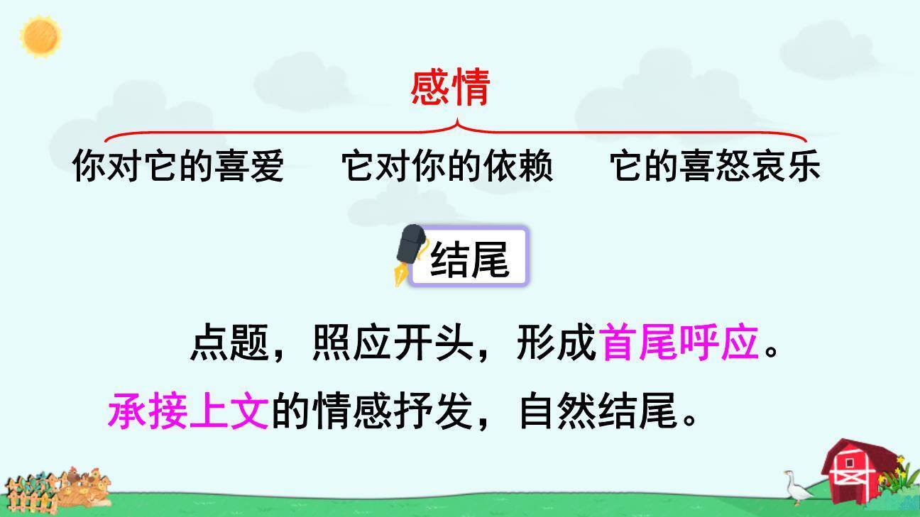 我的动物朋友PPT课件55