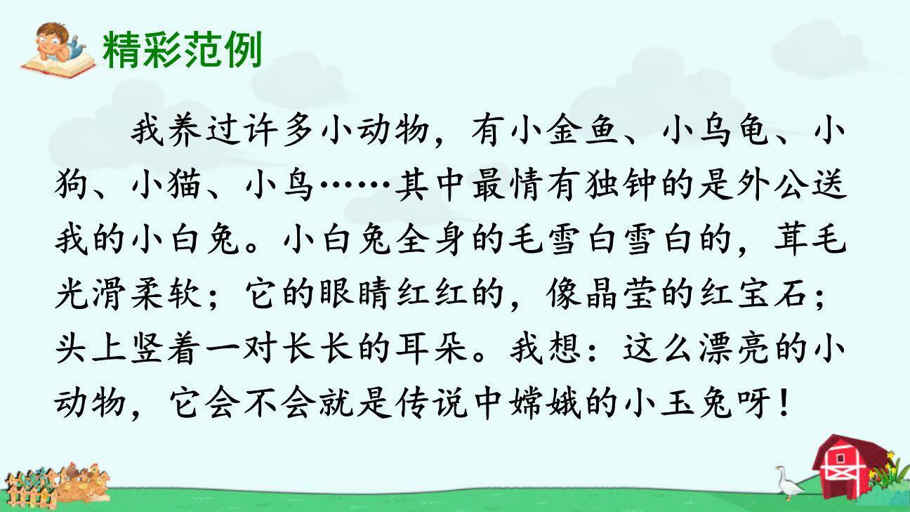 我的动物朋友PPT课件56