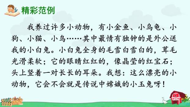 我的动物朋友PPT课件56