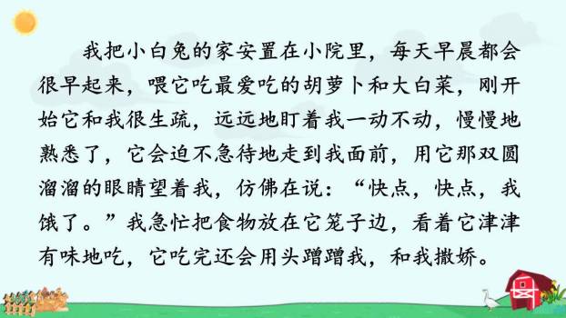 我的动物朋友PPT课件57