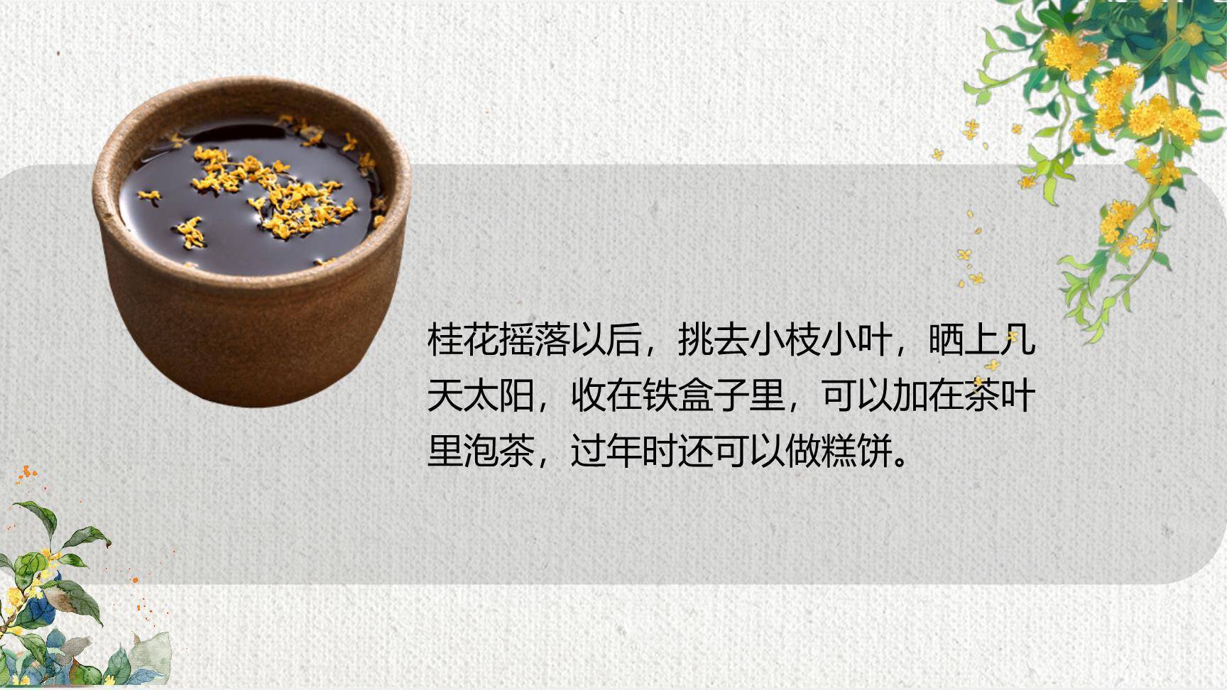 桂花雨PPT课件59