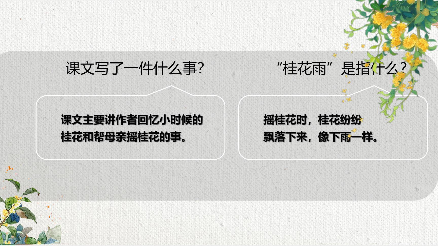 桂花雨PPT课件52