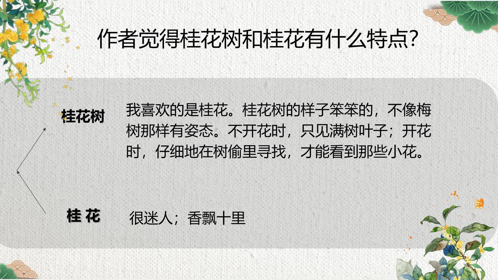 桂花雨PPT课件54