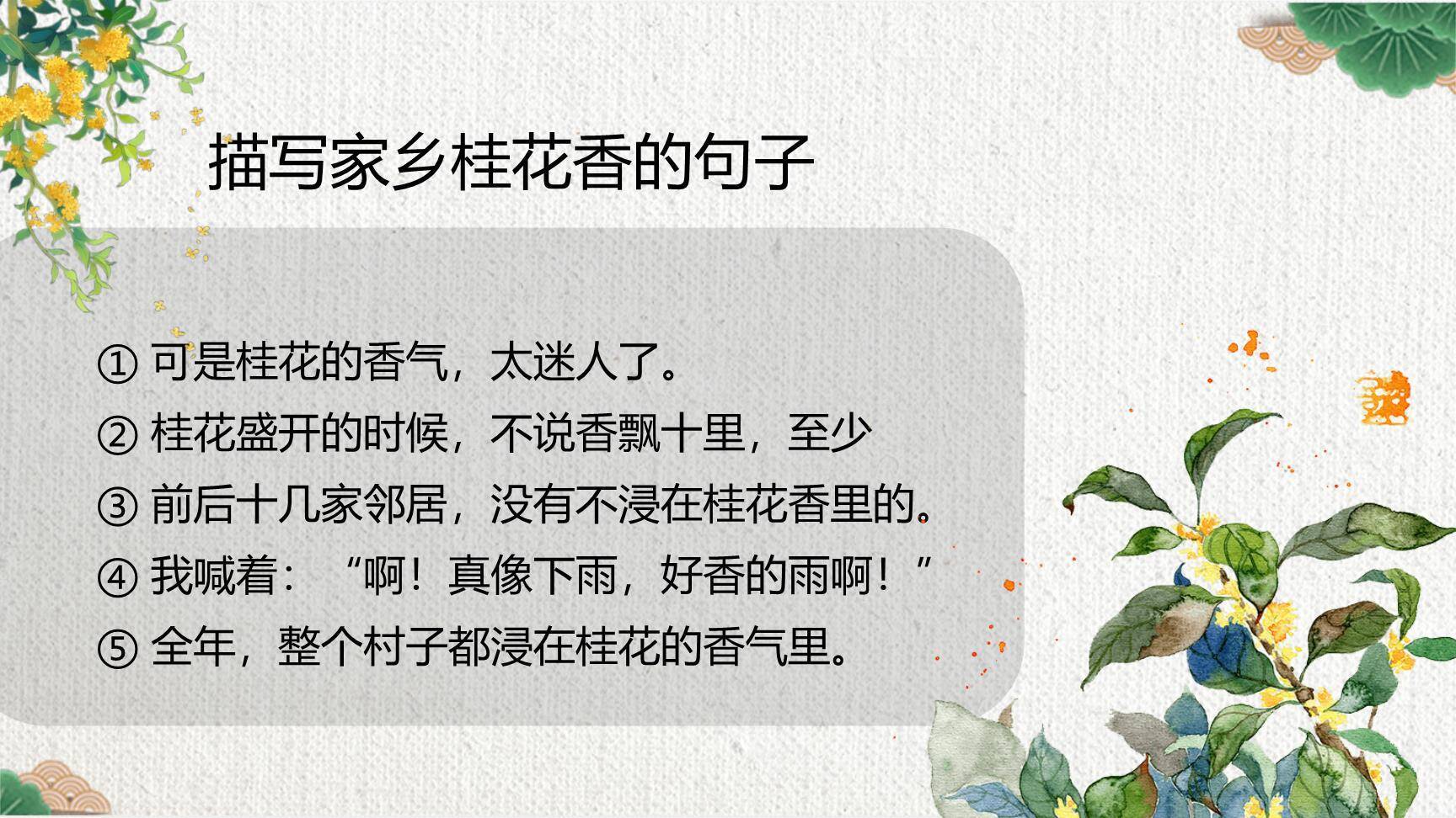 桂花雨PPT课件57