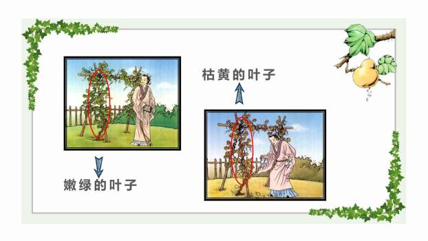 我要的是葫芦PPT课件28