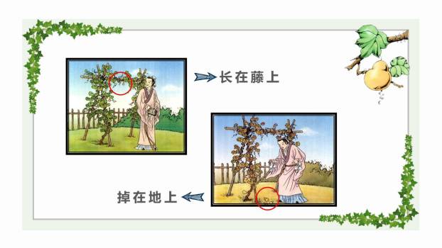 我要的是葫芦PPT课件29