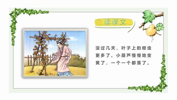 我要的是葫芦PPT课件25