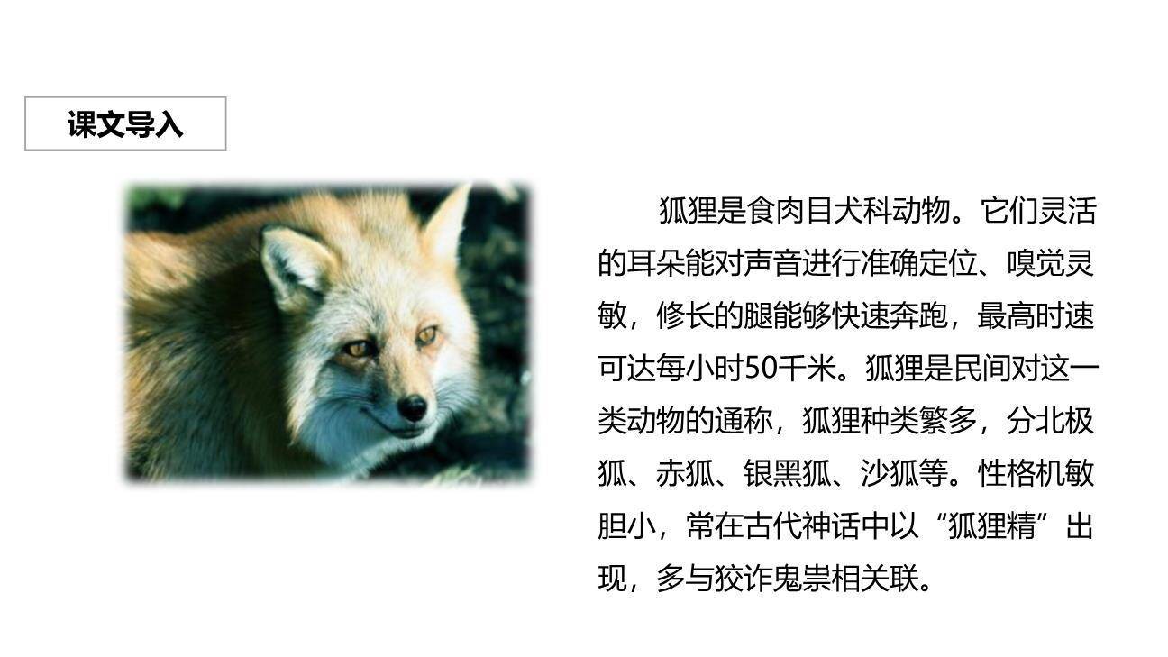 狐狸分奶酪PPT课件19