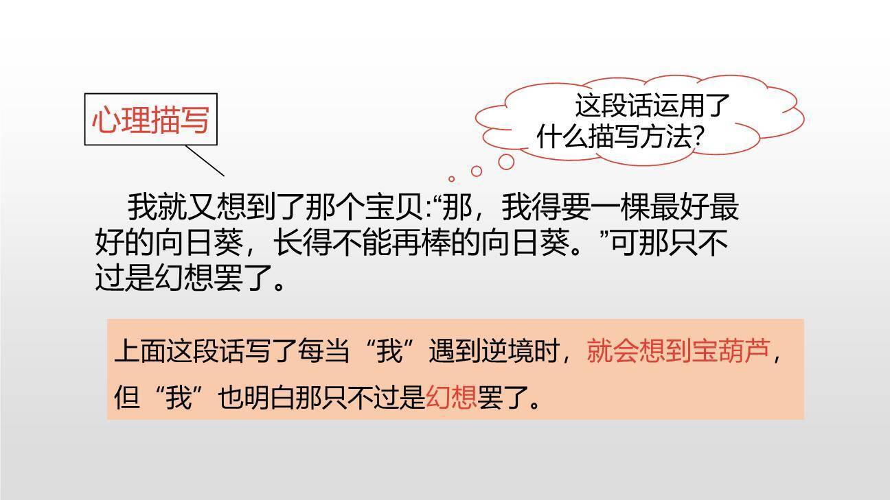 宝葫芦的秘密PPT课件25