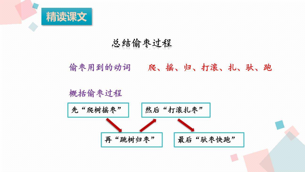 带刺的朋友PPT课件61