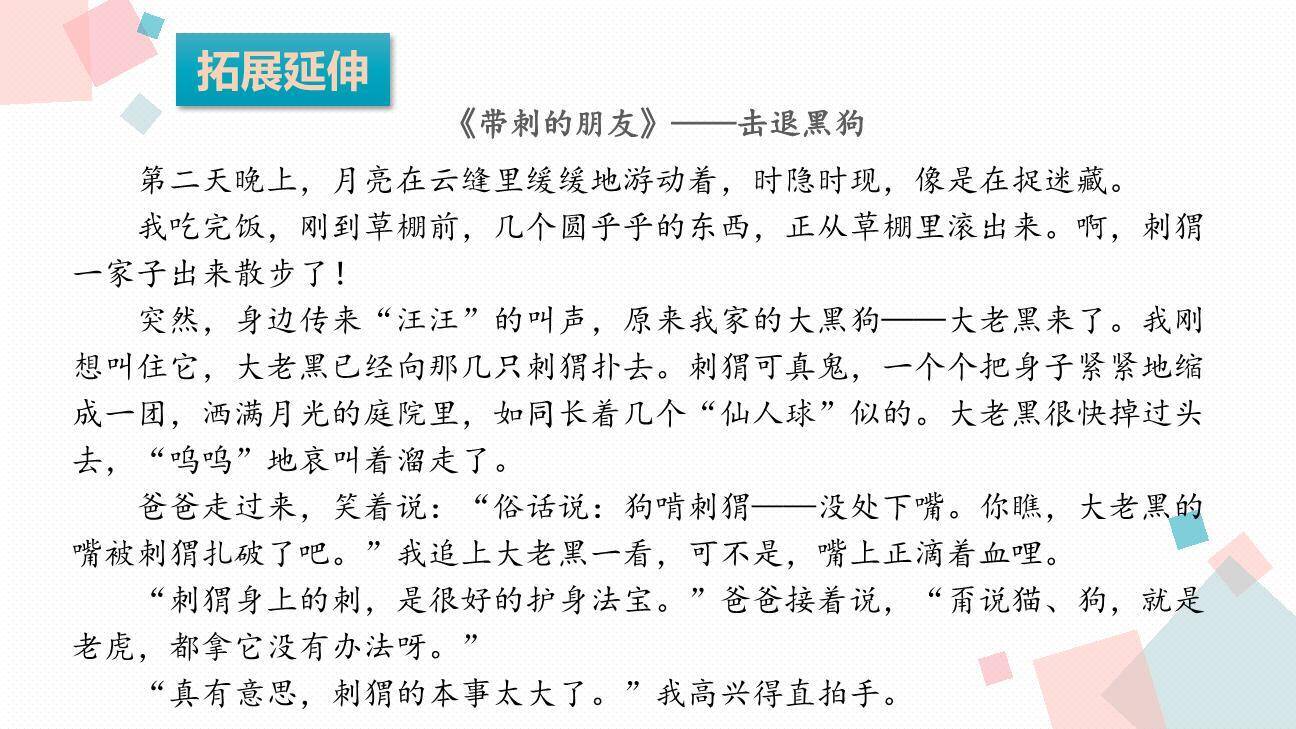 带刺的朋友PPT课件65