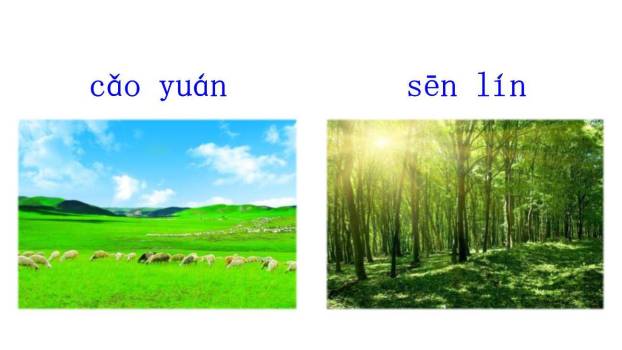 《an en in un ün》PPT课件45