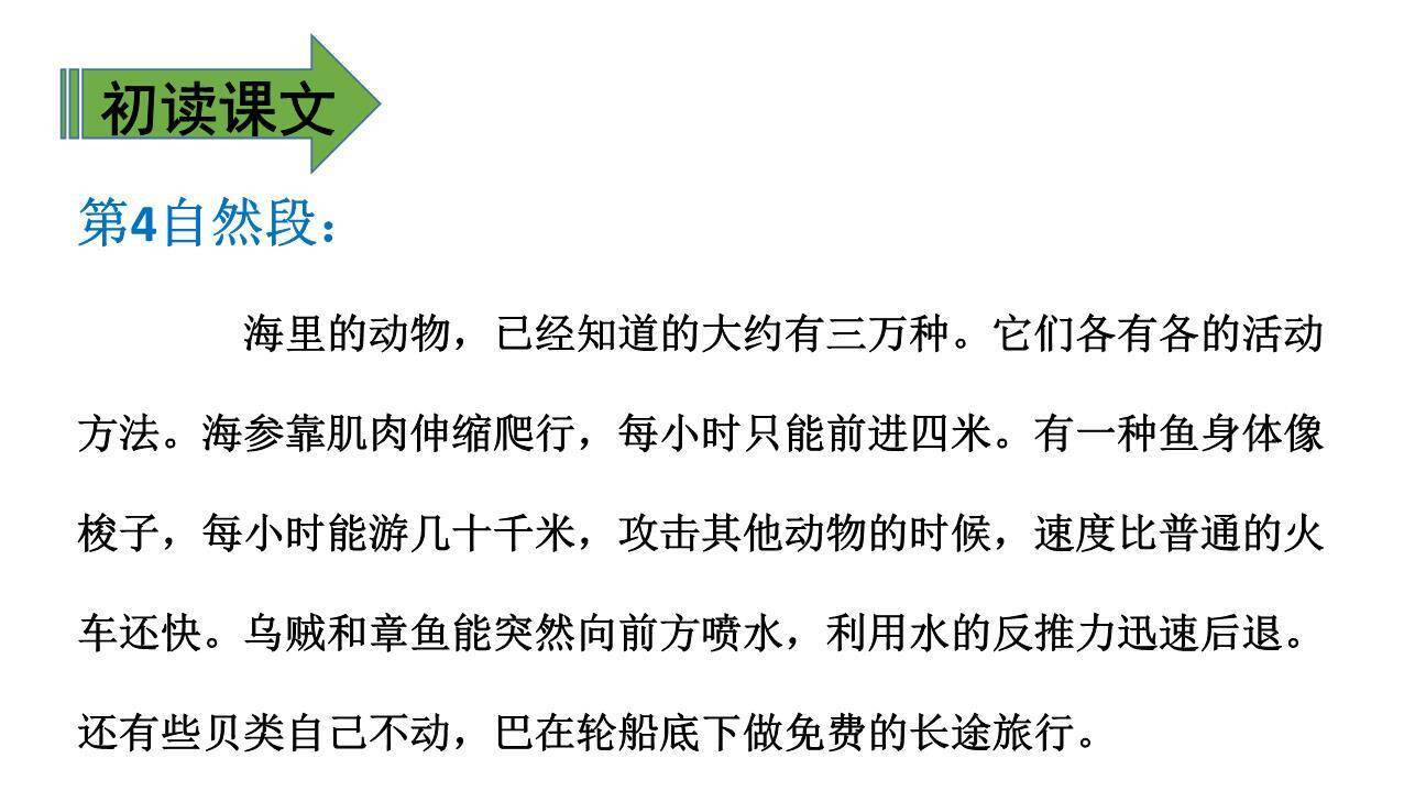 海底世界PPT课件33