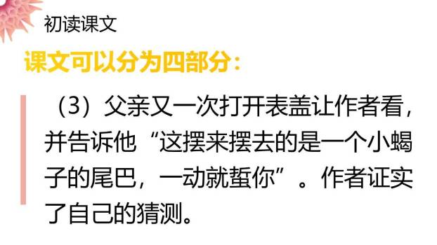 表里的生物PPT课件18