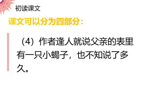 表里的生物PPT课件19