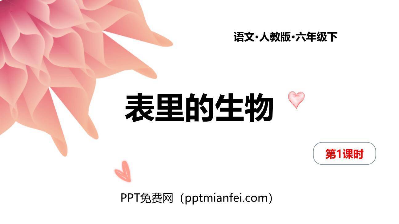 表里的生物PPT课件10