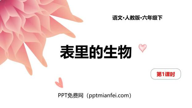 表里的生物PPT课件10