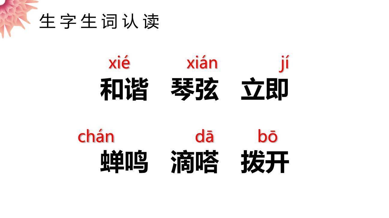 表里的生物PPT课件11