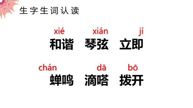 表里的生物PPT课件11