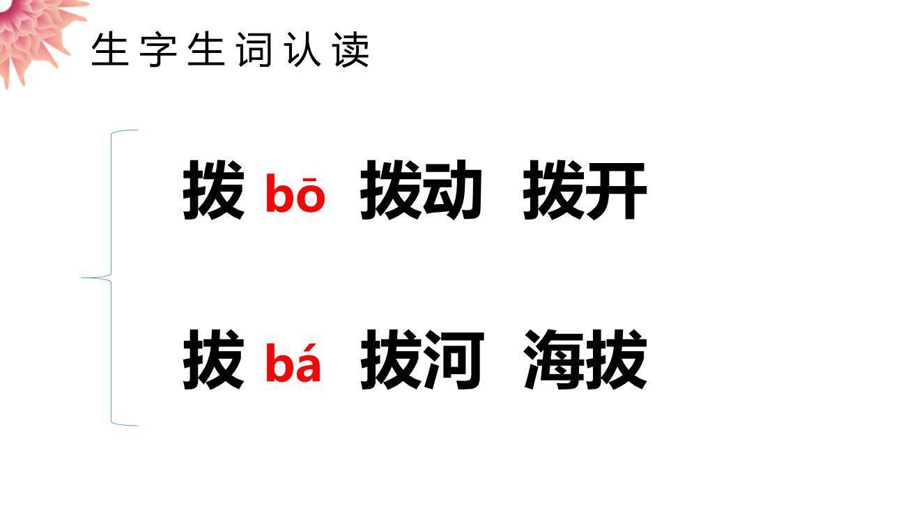 表里的生物PPT课件12
