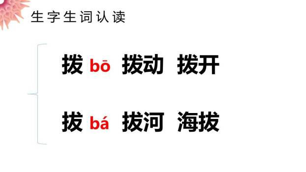 表里的生物PPT课件12