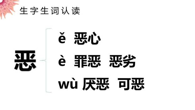 表里的生物PPT课件13