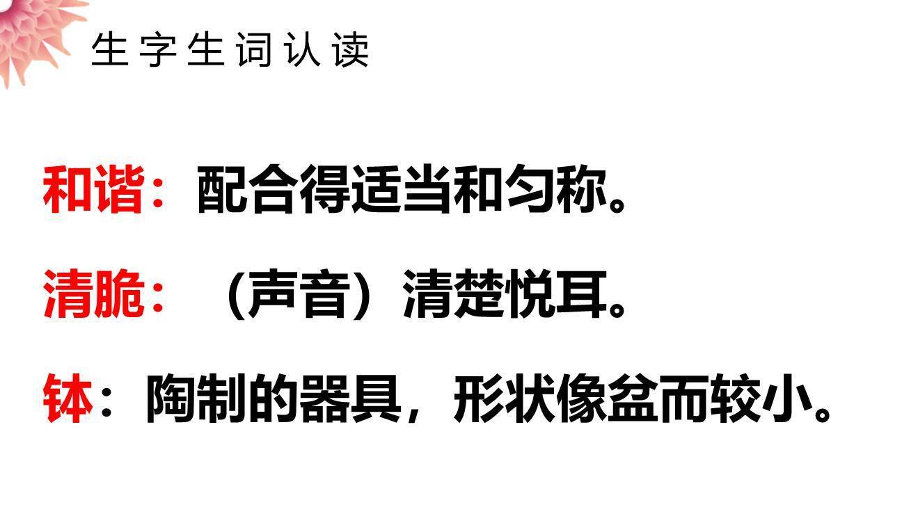 表里的生物PPT课件14