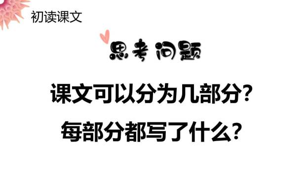 表里的生物PPT课件15