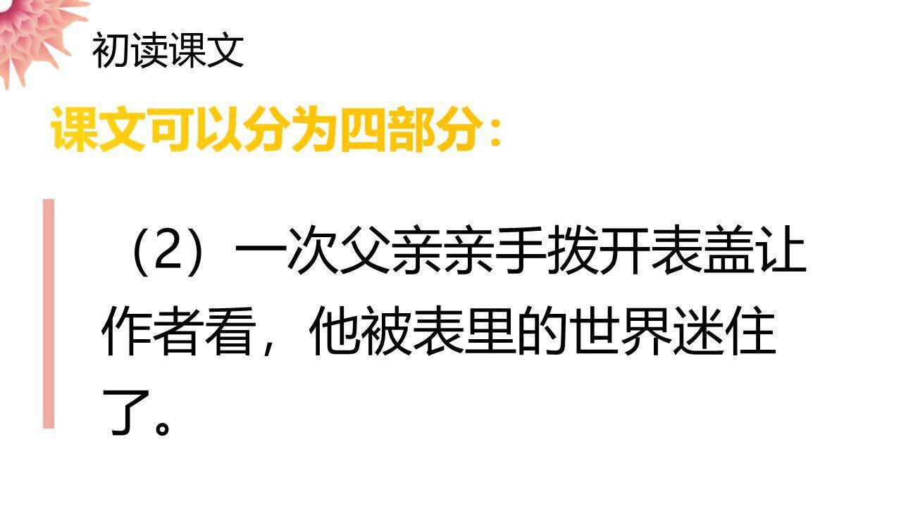 表里的生物PPT课件17