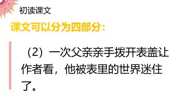 表里的生物PPT课件17