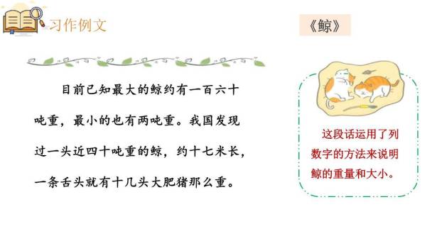 介绍一种事物PPT课件41