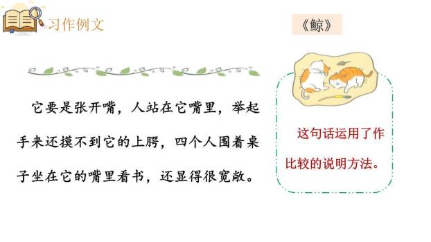 介绍一种事物PPT课件42