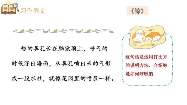 介绍一种事物PPT课件43