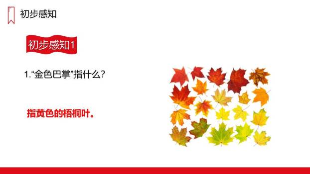 铺满金色巴掌的水泥道PPT课件87