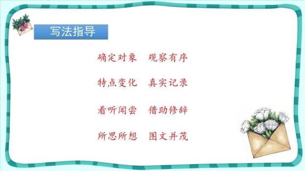 写观察日记PPT课件21