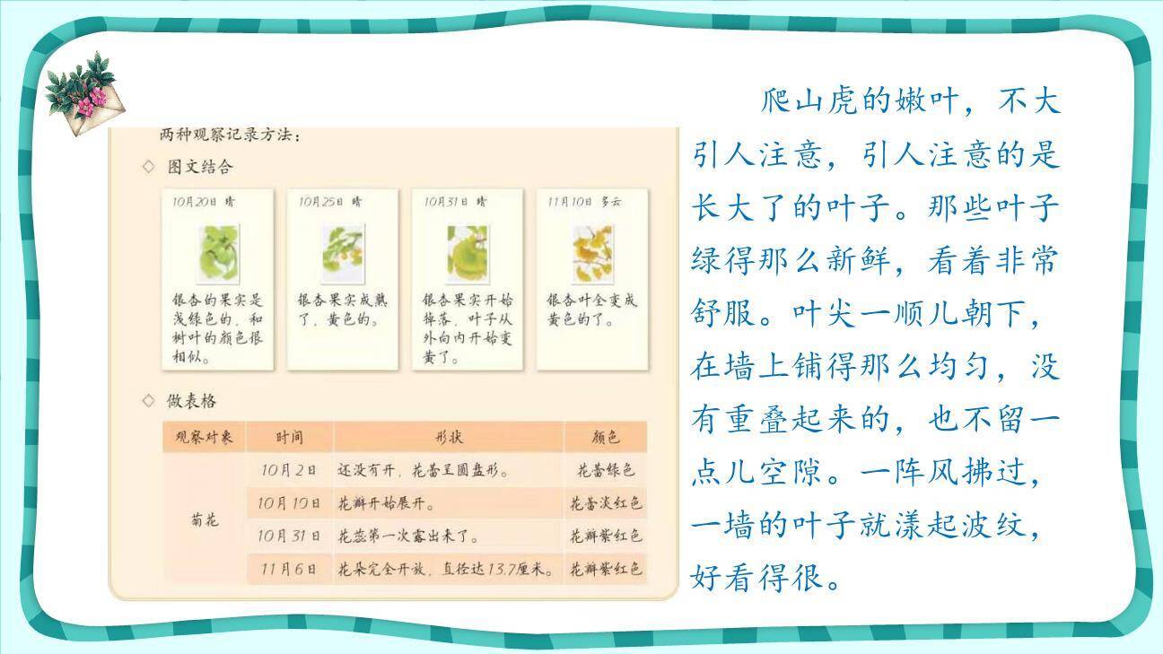 写观察日记PPT课件26