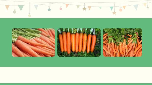 胡萝卜先生的长胡子PPT课件23