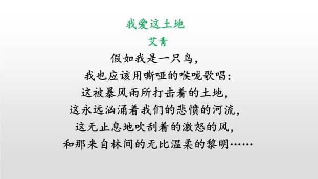 绿PPT课件17