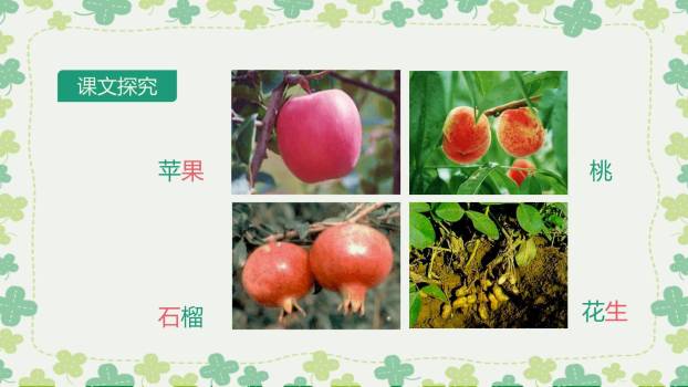 落花生PPT课件29