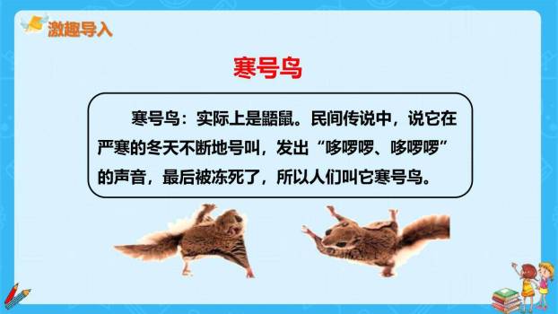 寒号鸟PPT课件29