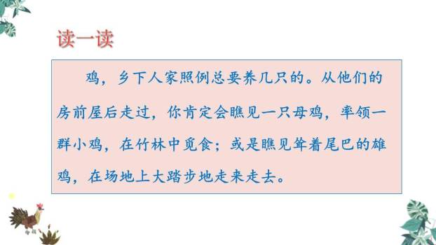 乡下人家PPT课件64