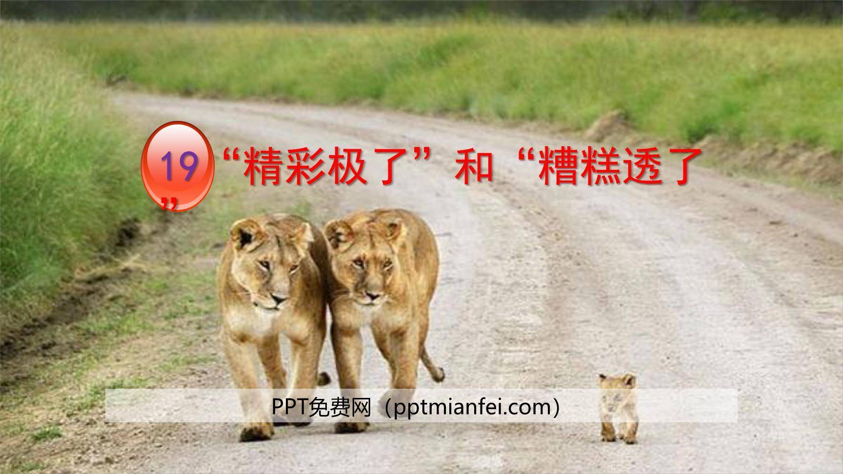 精彩极了和糟糕透了PPT课件40