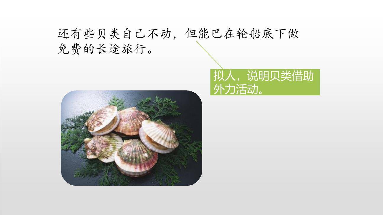 海底世界PPT课件68