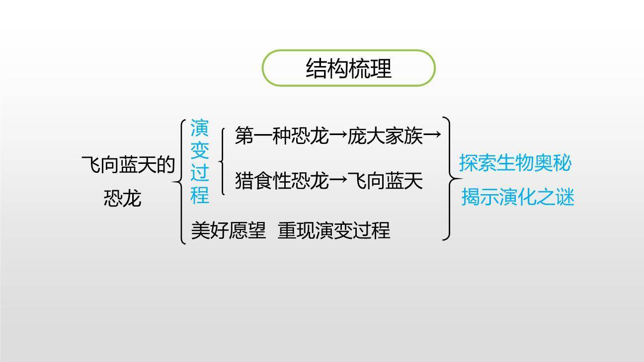 飞向蓝天的恐龙PPT课件58
