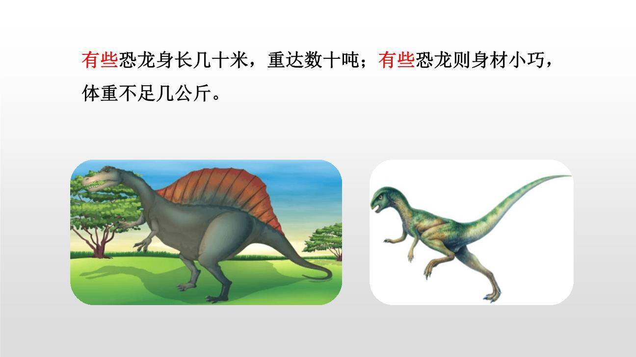 飞向蓝天的恐龙PPT课件51